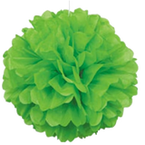 Green Pom Pom (Puff Ball)